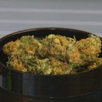 Medicinal Cannabis Clinics